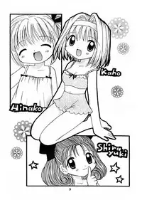 [RINARINA (Shima Mitsuru)] Imouto Kenkyuu Nisshi 4 (Sister Princess)