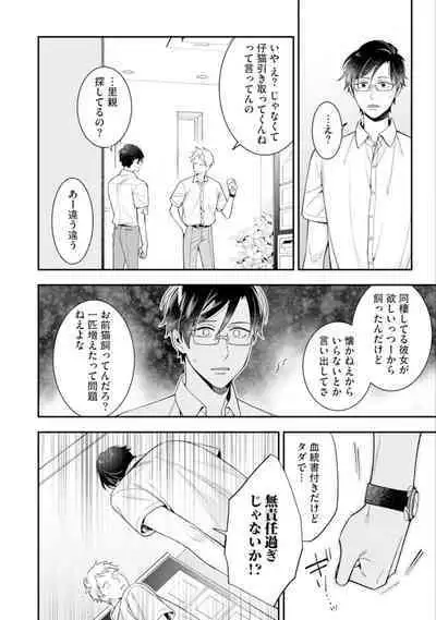 High Spec Danshi ni Natsukareteimasu