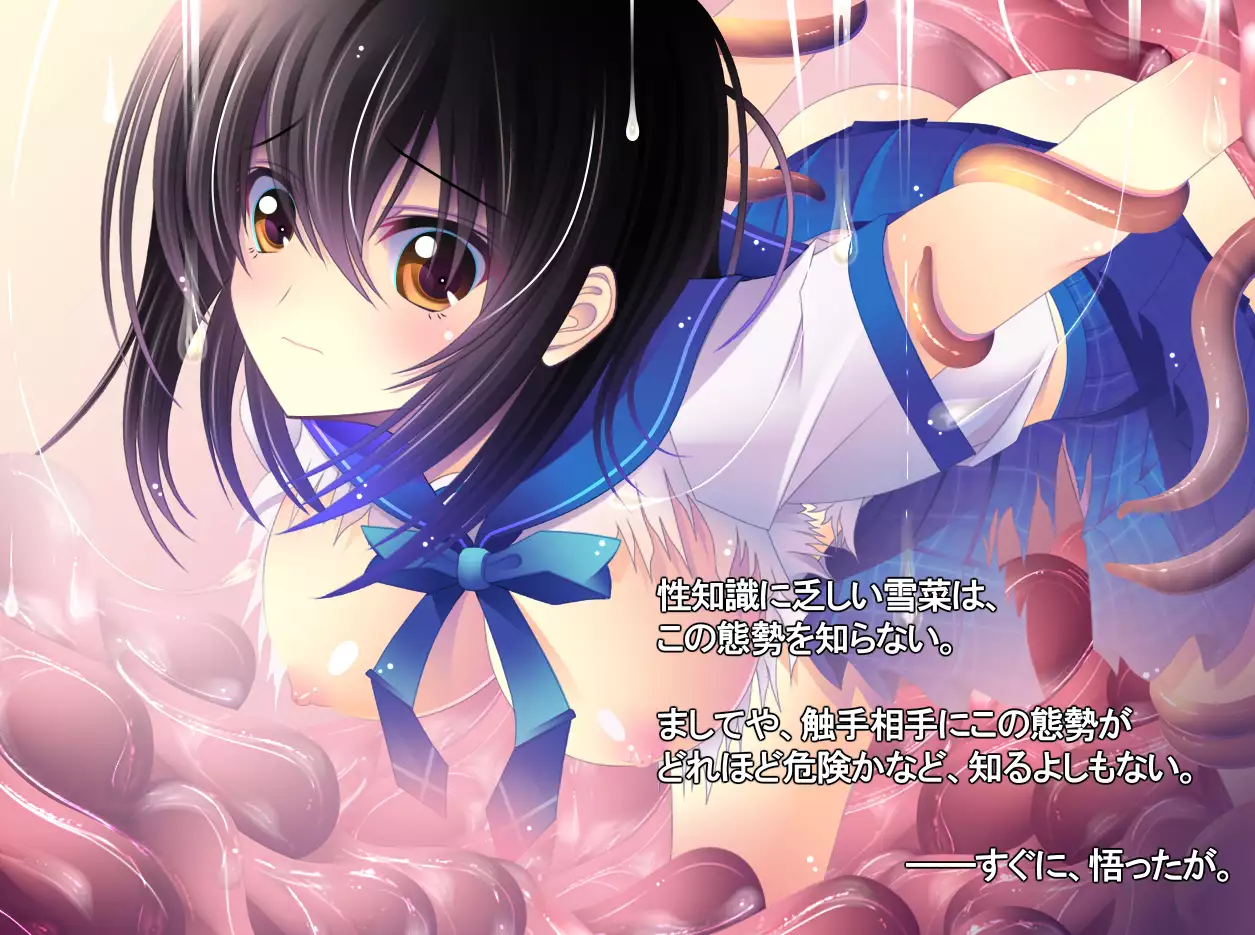 yabure, bakunyu chochichi naedoko ni, benki ni Daraku To sa reru hiroin!~ Hime ○ setsuna ~