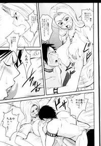 (C76) [Hanamiduki (Miduki Jou)] NO MERCY 5 (BLEACH)