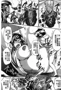 [Fue] フェラピュア[chinese]