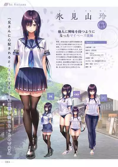 Amakano 2+ Visual Fan Book