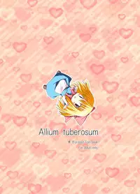 [Allium tuberosum (Nirapii)] Mari Ali Doudeshou (Touhou Project) [Digital]