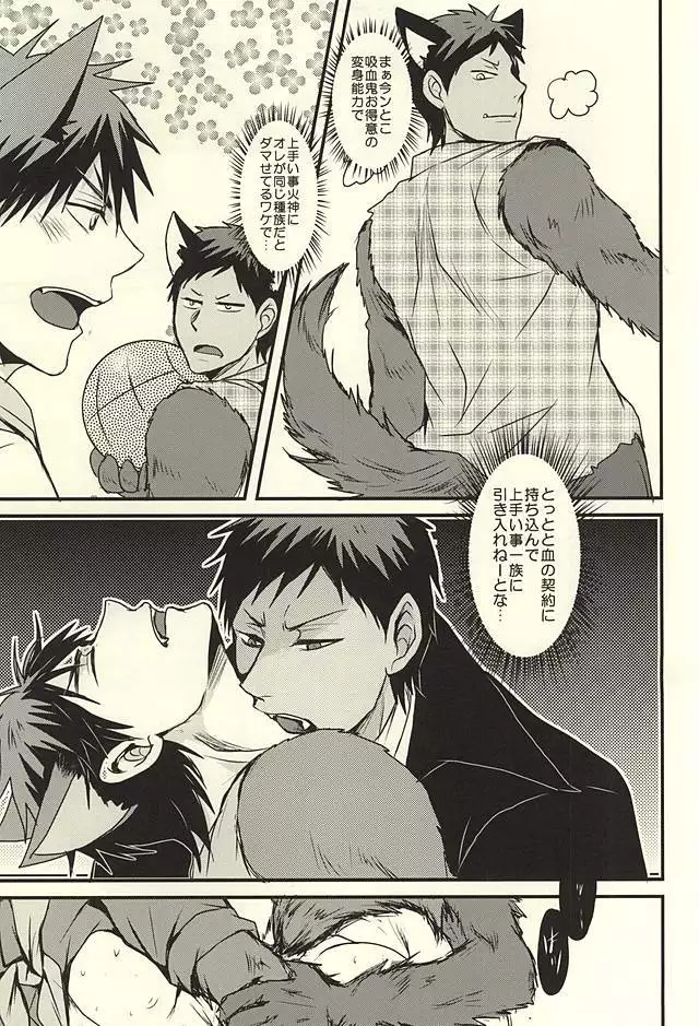 coyote,colored darkness