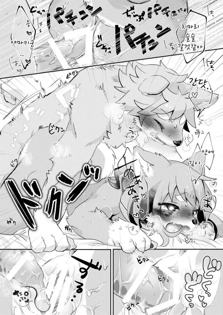 Hanakami Meeting | 수줍은 짝짓기