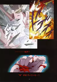 (C69) [Henrei-kai (Kawarajima Koh)] M.O.E -Morgen of Extended- (Kidou Senshi Gundam SEED DESTINY)