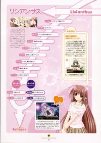 Shuffle! - Visual Fan Book