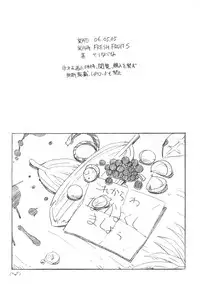(Shotaket 11) [Fresh Fruit S (Seri Nazuna)] Fresh Fruit S Copy Book 060505 (Crash B-Daman)