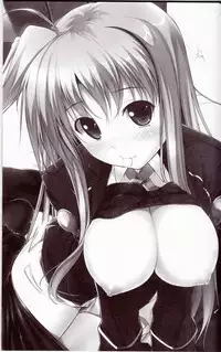 (C81) [IV VA SHIN (Mikuni Mizuki)] Home Sweet Home ~Fate hen 2~ (Mahou Shoujo Lyrical Nanoha)