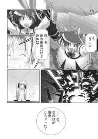 (C74) [40010 1-GO (40010Prototype)] Fate-chan ha Yappari Shiawase (Mahou Shoujo Lyrical Nanoha)