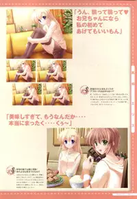 Canvas2 ～茜色のパレット～ ビジュアルファンブック