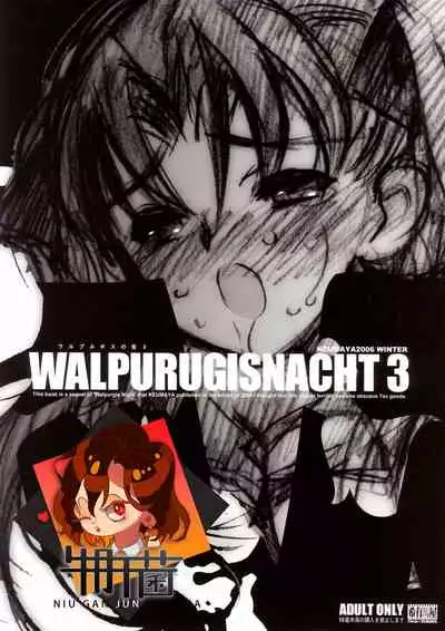 (C71) [Keumaya (Inoue Junichi)] Walpurugisnacht 3 / Walpurgis no Yoru 3 (Fate/stay night) [Chinese] [牛肝菌汉化]
