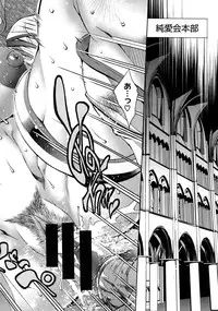 [Rakko] Mechashico Seven