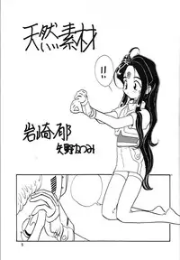 [Iwasaki Seihonsho] Arigataki Shiawase Fukushiki 2 (Ah! My Goddess)