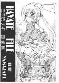 (SC46) [RAT TAIL (IRIE YAMAZAKI)] HAYATE FILE Sanzenin Nagi Gazoushuu (Hayate no Gotoku!)