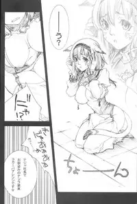 (C74) [Akai Tsubasa (Tachibana Chata)] LOVE FOOL 02 (Final Fantasy XI)