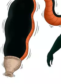 セルの丸呑み吸収