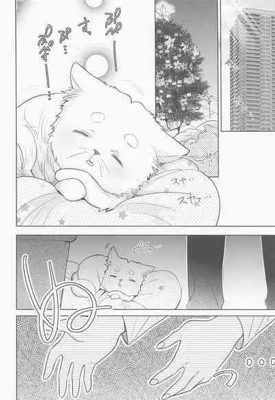 Akai Ie no Christmas 2021 no Hon