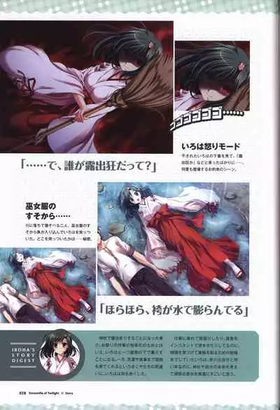 Tasogare no Sinsemilla Official Visual Fan book