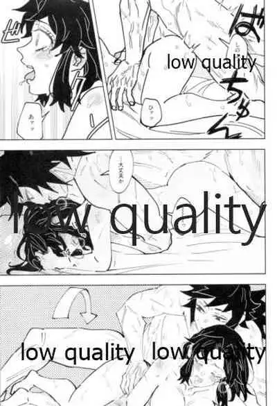 フクシアの花びら