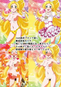 (C81) [Irekubadou (Poni., Andou Hiroyuki)] Irekubabon 1 (Suite Precure)