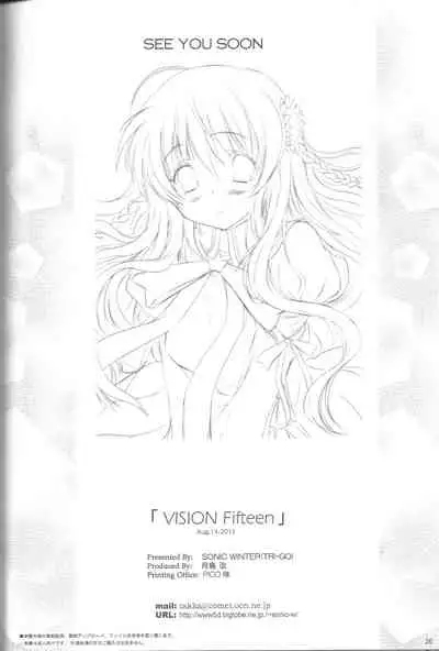 (C80) [SONIC WINTER (Tsukishima Kai)] VISION Fifteen (Rewrite)