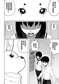 Mahoushoujyo Netorasutia