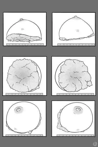 (yezinod) Xinhua Castration Diary 1 [English]