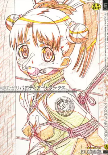 [HIKARI HAYASHIBARA] Parody Artworks