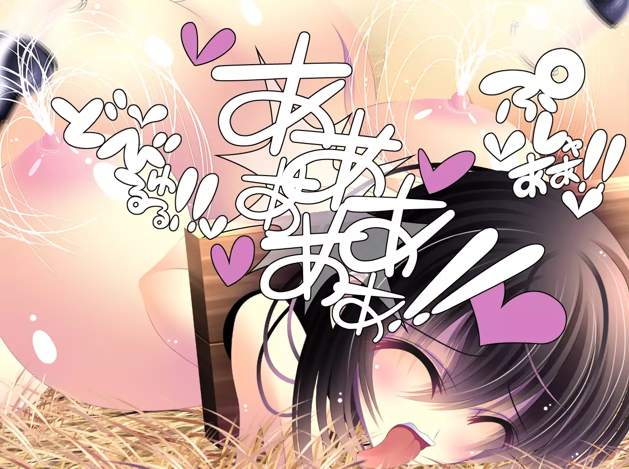 yabure, bakunyu chochichi naedoko ni, benki ni Daraku To sa reru hiroin!~ Hime ○ setsuna ~