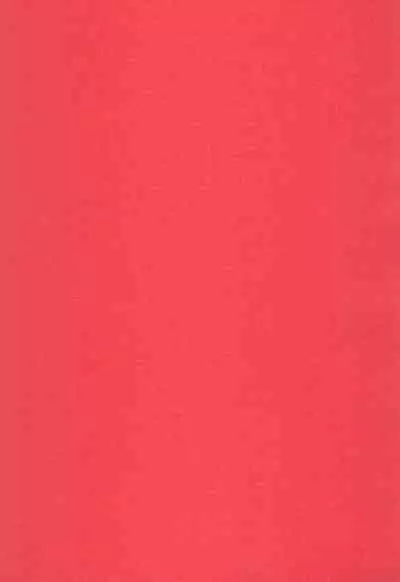 Nandemoya-san no Hataraku Puniman ni Gyaku Netorase Haramase Irai Saimin mo Suru zo