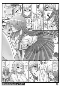 (C73) [Diogenes Club (Haikawa Hemlen)] Shokukan Mankan Zenseki (Ikkitousen) [English] {doujin-moe.us}