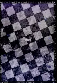 (Reitaisai 11) [Uminari (Narumi)] Wakatteru yo ne Dai-chan? | You Get It, Right Dai-chan? (Touhou Project) [English] {Doujins.com}