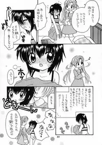 [RINARINA (Shima Mitsuru)] Imouto Kenkyuu Nisshi 4 (Sister Princess)
