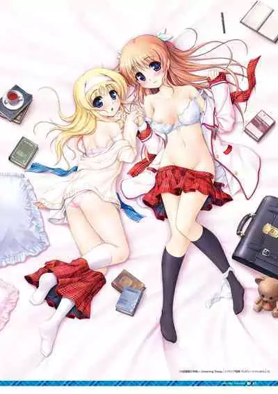 Daitoshokan no Hitsujikai Visual Fan Book Houkago Shippo Days & Dreaming Sheep Visual Fan Book