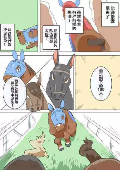 有秘密的竞赛马