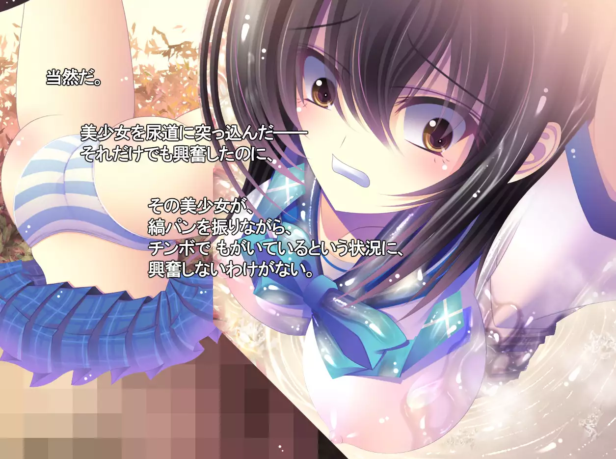 yabure, bakunyu chochichi naedoko ni, benki ni Daraku To sa reru hiroin!~ Hime ○ setsuna ~