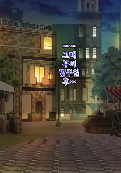 The Netori ~Nanpa-shi Baron no Hitozuma Kanraku Jutsu☆~