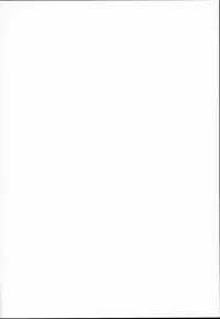 (C90) [IncluDe (Foolest)] SLS! Kawaii Yousei o Onahole ni Shiyou (Touhou Project)