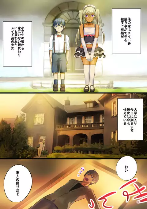 Senzoku Maid ga BBA ni Natta Koro