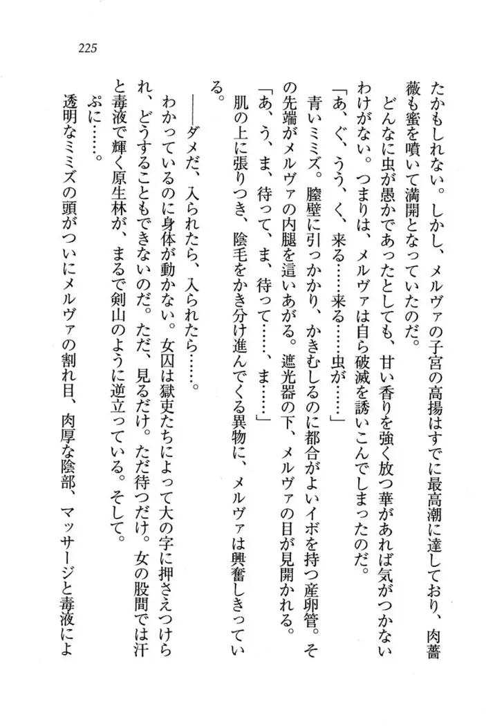 Circus～聖杯の魔法使い