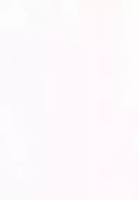 (C93) [L.G.C. (Rib:y(uhki))] Giji Renjouteki Kaiyu Ryouhou (Fate/Grand Order)