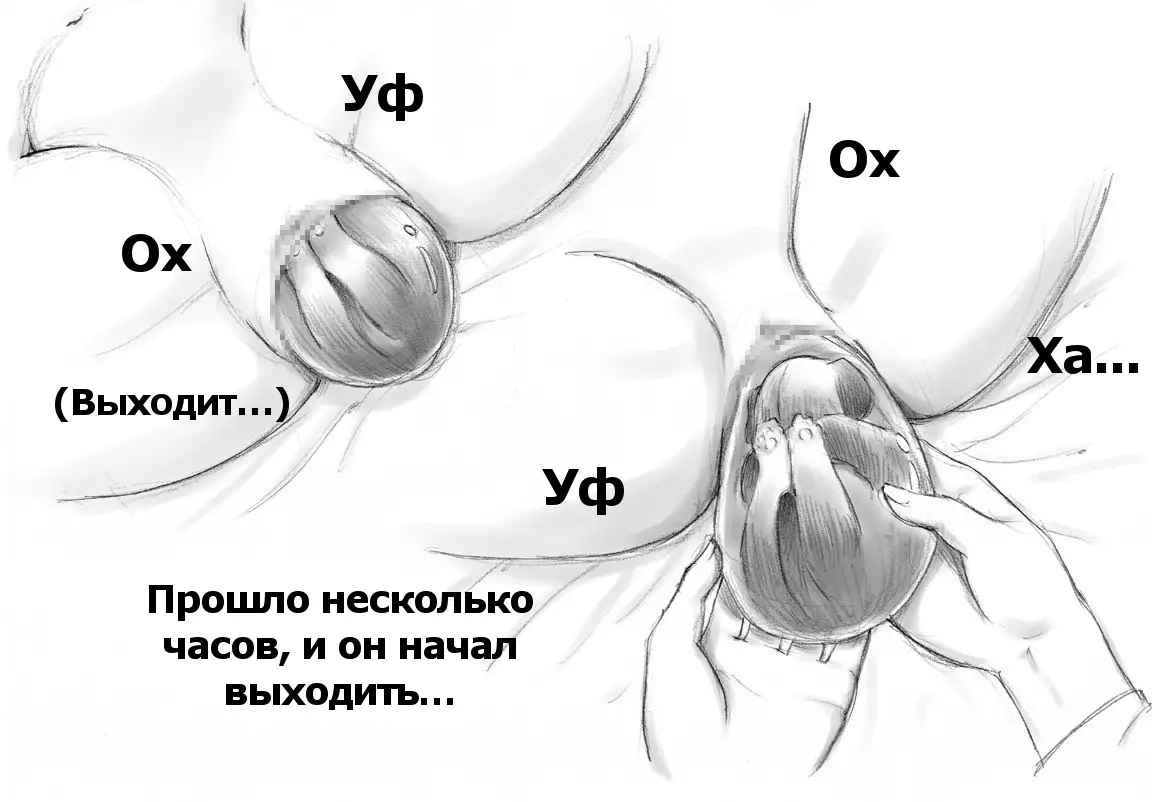 Himitsu no Inukko Club | The Secret Puppy Club