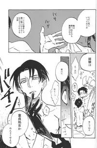 (FALL OF WALL2) [Senkan AA (Ahiru)] Kimi o Kowashi Tai (Shingeki no Kyojin)