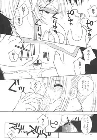 (C70) [Hanamaru Mugen Gym (Hyoujun Mai)] Sakura Chiru (Dead or Alive)