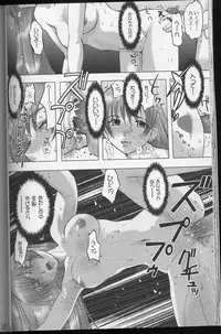 [Gebokudou] XXBOX Phase-02 (Dead or Alive)