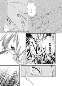 [Kyoka Suigetsu] Rh - no Koi 1 (Fullmetal Alchemist)