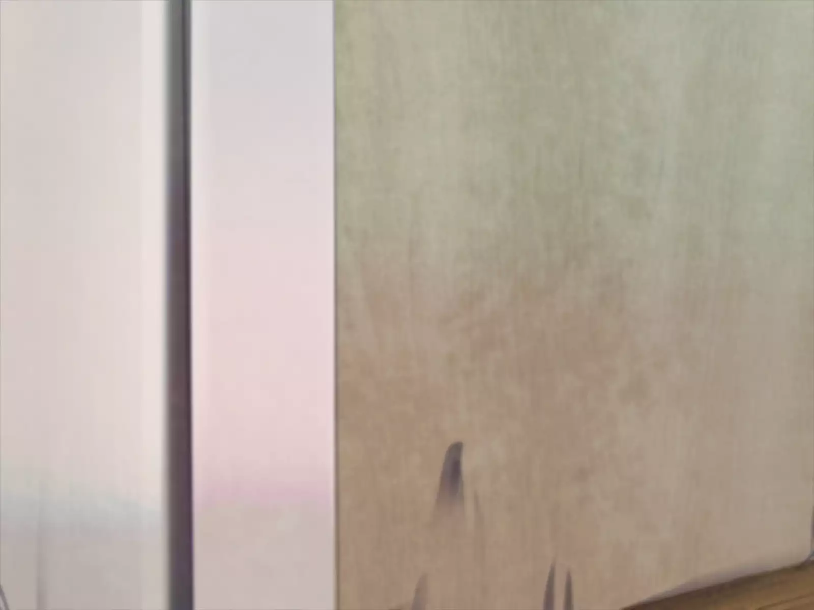 Namaiki na Otouto no Taisetsu na Kanojo o Muriyari Okashite Netotta Hi