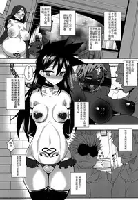 Dain no Monshou Danshou ~ Mesu Ochi Akuto Hen