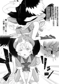 (SC2018 Autumn) [zero-sen (xxzero)] Tori no Kimochi Ii [Chinese] [沒有漢化]